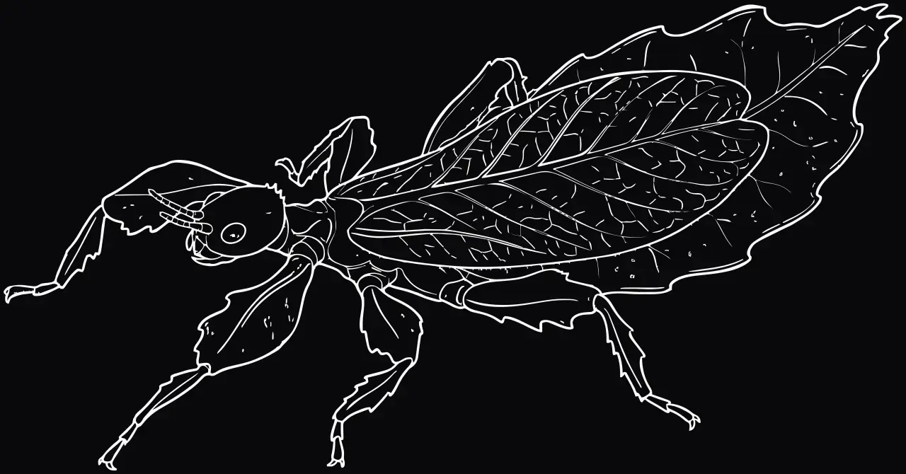 Leaf insect (Phyllium philippinicum), laser engraving