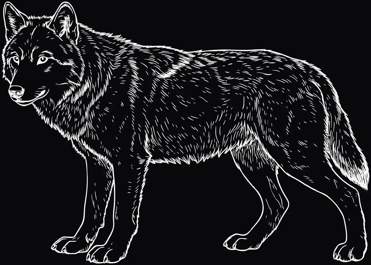 Wolf (Canis lupus), Lasergravur