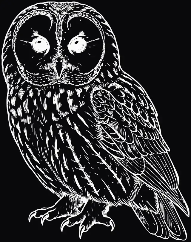 Waldkauz (Strix aluco), Lasergravur
