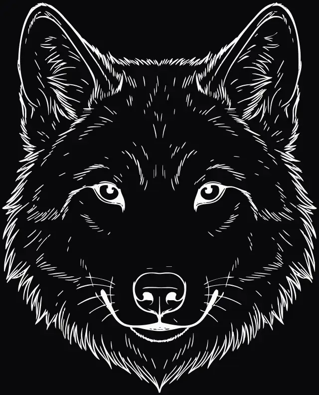 Wolf (Kopf) (Canis lupus), Lasergravur